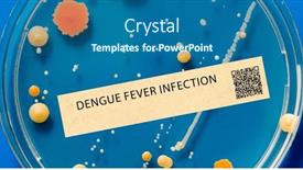  Presentation with dengue fever - Presentation theme enhanced with dengue-fever-viral-infection-transmitted background and a ocean colored foreground