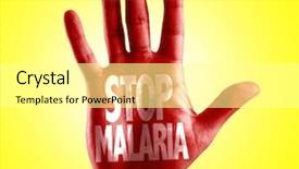  Presentation with dengue virus - Slides enhanced with dengue virus - stop malaria written on hand background and a white colored foreground