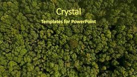  Presentation with forest - Presentation design enhanced with dense deciduous forest aerial background background and a tawny brown colored foreground
