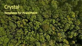  Presentation with forest - Amazing presentation theme having dense deciduous forest aerial background backdrop and a tawny brown colored foreground
