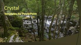  Presentation with ferns - Presentation theme featuring dense-forest-with-moss-ferns background and a tawny brown colored foreground