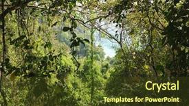 Presentation with africa jungle - PPT layouts enhanced with dense jungle and coastline landscape background and a tawny brown colored foreground