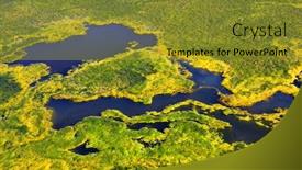  Presentation with weeds - Presentation design consisting of dense-layer-of-green-weeds background and a gold colored foreground