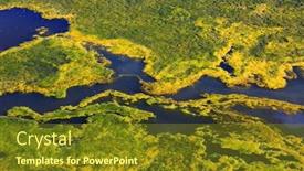  Presentation with weeds - Amazing slide deck having dense-layer-of-green-weeds backdrop and a tawny brown colored foreground