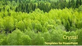  Presentation with panoramic - Colorful PPT theme enhanced with dense mixed forest panoramic view backdrop and a tawny brown colored foreground