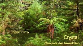  Presentation with rainforest - Beautiful PPT theme featuring dense thicket in the temperate backdrop and a tawny brown colored foreground