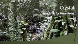 Presentation with biodiversity - Cool new presentation with dense tropical rain forest amazon backdrop and a tawny brown colored foreground