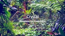  Presentation with tropical forest - Presentation theme featuring jungle free - scene looking straight background and a ocean colored foreground