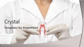  Presentation with dental prosthesis - PPT layouts consisting of dental prosthesis - young female dentist holding tooth background and a white colored foreground