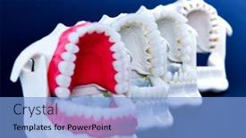  Presentation with orthodontic - Beautiful theme featuring dentist-orthodontic-teeth-models backdrop and a light blue colored foreground