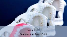  Presentation with orthodontic - Slide deck with dentist-orthodontic-teeth-models background and a light blue colored foreground