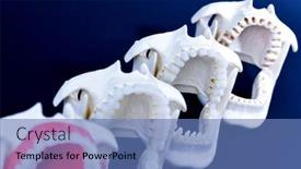  Presentation with orthodontic - Audience pleasing slide set consisting of dentist-orthodontic-teeth-models backdrop and a teal colored foreground