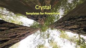  Presentation with redwood - Cool new slides with nps - redwood tree trunks backdrop and a tawny brown colored foreground