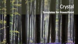  Presentation with sun life - Beautiful slides featuring depicting spirituality serenity and purity backdrop and a tawny brown colored foreground