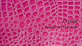  Presentation with crocodile - Cool new presentation theme with finance concept buttons yes and no with pixelated folder with lock icon and arrow cursor on computer screen selected focus 3d render backdrop and a light gray colored foreground