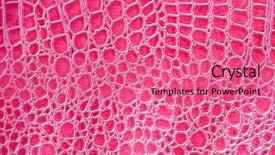  Presentation with crocodile - PPT layouts with dermis - crocodile alligator leather background and a coral colored foreground