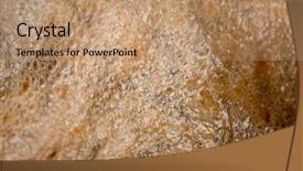  Presentation with burn skin - Beautiful PPT layouts featuring dermis - real octopus skin close-up skin backdrop and a coral colored foreground