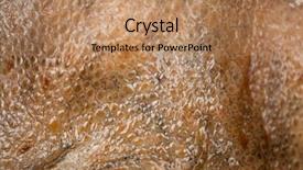  Presentation with skin - Colorful PPT theme enhanced with dermis - real octopus skin close-up skin backdrop and a coral colored foreground