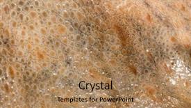  Presentation with skin - PPT layouts having dermis - real octopus skin close-up skin background and a coral colored foreground