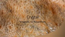  Presentation with human skin histology - PPT theme featuring dermis - real octopus skin close-up skin background and a coral colored foreground