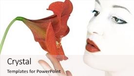  Presentation with white snow - Presentation theme with plant used in herbal medicine background and a violet colored foreground.