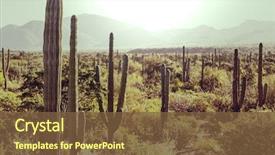  Presentation with cactus - Cool new presentation design with desert - cactus fields in mexico baja backdrop and a tawny brown colored foreground