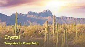 Presentation with saguaro - Presentation theme having desert - saguaro cactus park background and a coral colored foreground