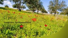  Presentation with green lawn - Audience pleasing presentation design consisting of desert-acacias-turn-green backdrop and a gold colored foreground