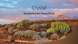  Presentation with landscape desert - Presentation theme with desert-area-with-bushes background and a light blue colored foreground