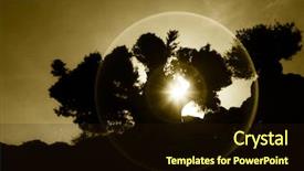  Presentation with tree silhouette - Colorful slide set enhanced with desert backlit with halo effect backdrop and a wine colored foreground