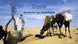  Presentation with water well - Audience pleasing PPT theme consisting of desert-beduin-with-two-camels backdrop and a light blue colored foreground