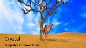  Presentation with lonely - Theme featuring desert conceptual background lonely tree background and a gold colored foreground