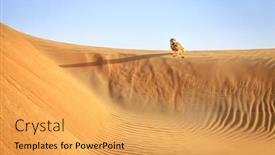  Presentation with uae - Slide deck with desert eagle owl sitting on a dune in dubai desert conservation reserve uae background and a yellow colored foreground