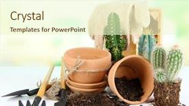  Presentation with soil in engineering - Presentation consisting of desert garden - beautiful cactuses empty flowerpots background and a cream colored foreground