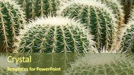  Presentation with fuel cell lots of rechargeable - PPT layouts featuring desert garden - lots of cacti background and a tawny brown colored foreground