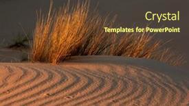  Presentation with sand textured - Colorful PPT theme enhanced with desert grasses on textured sand dune in late afternoon light south africa backdrop and a tawny brown colored foreground