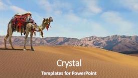  Presentation with sand dunes - Slides having dromedary smiling on the sand background and a coral colored foreground