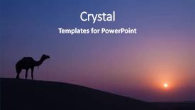  Presentation with landscape desert - Amazing presentation design having desert landscape with camel backdrop and a ocean colored foreground