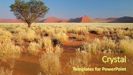  Presentation with landscape desert - Cool new presentation theme with desert landscape with grasses red backdrop and a tawny brown colored foreground