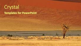  Presentation with landscape desert - Audience pleasing slide deck consisting of desert landscape with grasses red sand dunes and an african acacia tree sossusvlei namibia southern africa backdrop and a tawny brown colored foreground