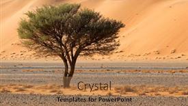  Presentation with thorn - Slide deck enhanced with desert-landscape-with-thorn-tree background and a coral colored foreground