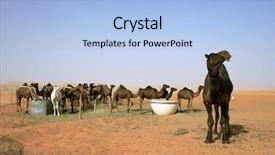  Presentation with riyadh - Colorful slides enhanced with desert near riyadh saudi arabia backdrop and a light blue colored foreground