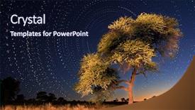  Presentation with thorn - PPT theme having transformation map - illustration composed by spreadsheets charts background and a  colored foreground.