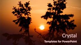  Presentation with desert night sky - Theme consisting of wooden spoons carving handicraft wickerwork background texture still life background and a tawny brown colored foreground