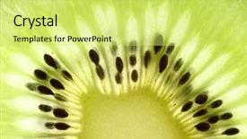  Presentation with kiwi fruit - Colorful PPT theme enhanced with earth science layers earth - south rim of the grand backdrop and a tawny brown colored foreground