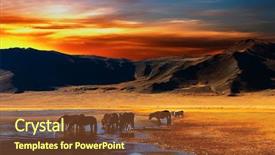 Presentation with oasis - Slides featuring desert oasis - drinking horses background and a tawny brown colored foreground