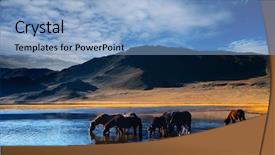  Presentation with horses - Beautiful theme featuring desert oasis - drinking horses backdrop and a light blue colored foreground
