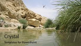  Presentation with oasis - PPT theme having desert oasis in the dead background and a coral colored foreground