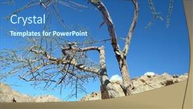  Presentation with egypt - Slide deck with desert-of-sinai-peninsula-egypt background and a ocean colored foreground