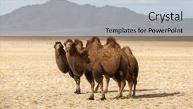  Presentation with mongolia - Slide deck having desert of western mongolia background and a lemonade colored foreground